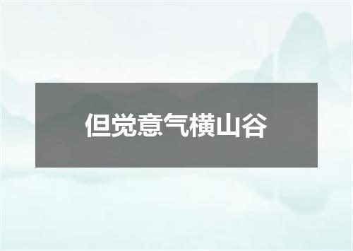 但觉意气横山谷