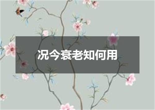 况今衰老知何用