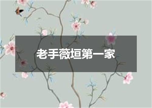 老手薇垣第一家