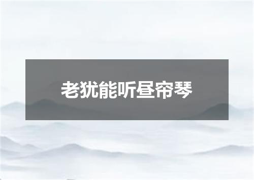 老犹能听昼帘琴