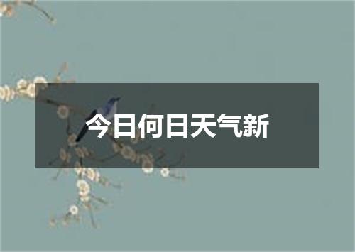 今日何日天气新