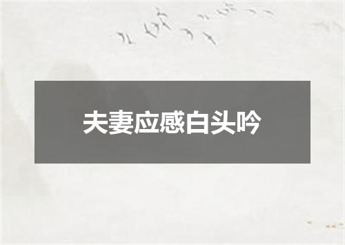 夫妻应感白头吟