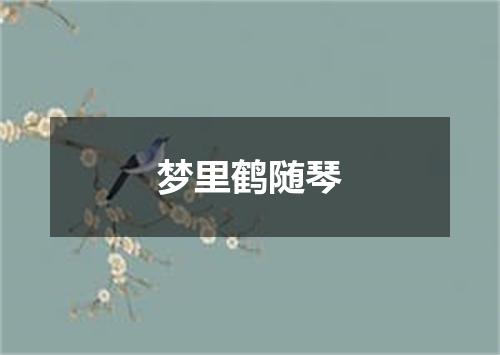 梦里鹤随琴
