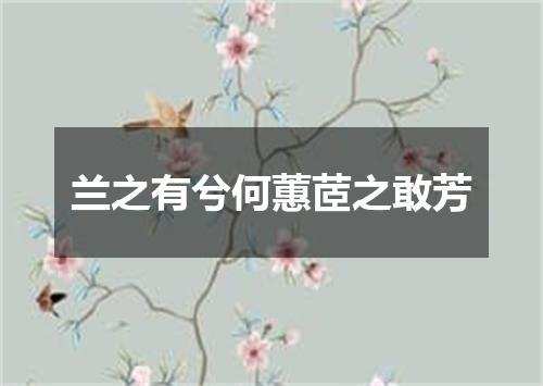兰之有兮何蕙茝之敢芳
