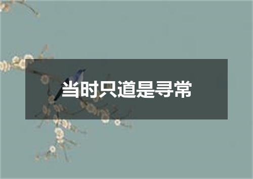 当时只道是寻常