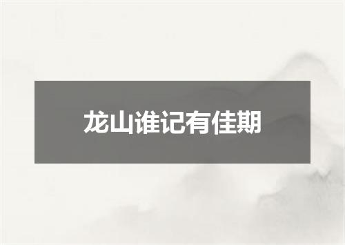 龙山谁记有佳期