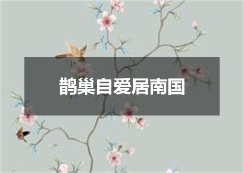 鹊巢自爱居南国