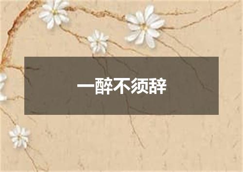 一醉不须辞
