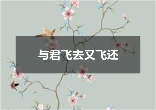 与君飞去又飞还