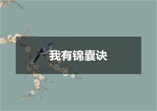 我有锦囊诀