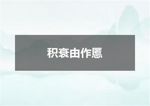 积衰由作慝