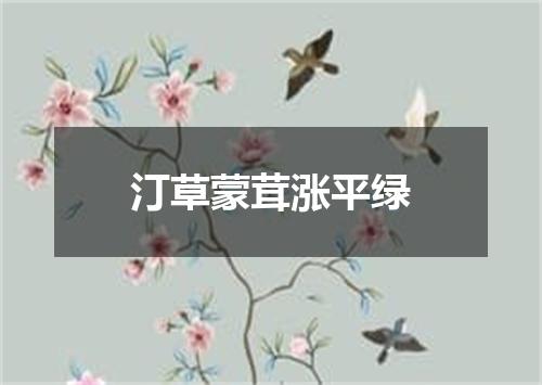 汀草蒙茸涨平绿