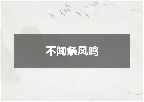 不闻条风鸣
