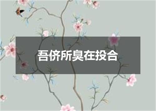 吾侪所臭在投合
