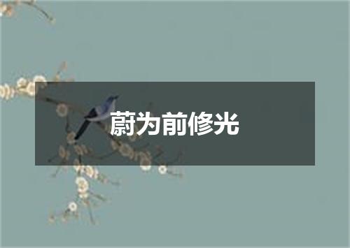 蔚为前修光