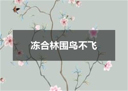 冻合林围鸟不飞