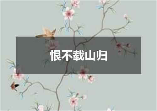 恨不载山归