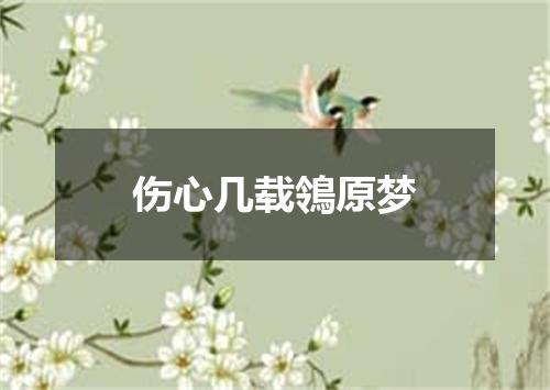 伤心几载鴒原梦