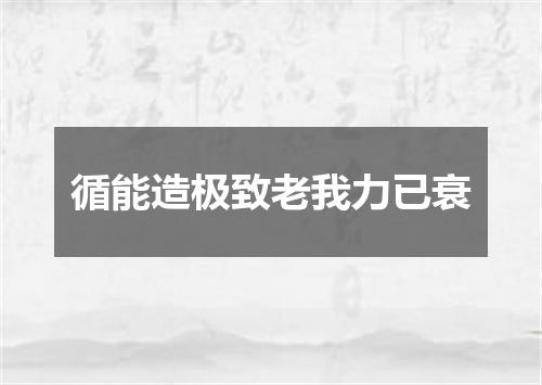 循能造极致老我力已衰