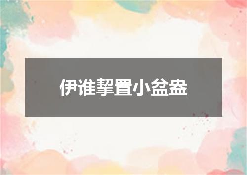 伊谁挈置小盆盎