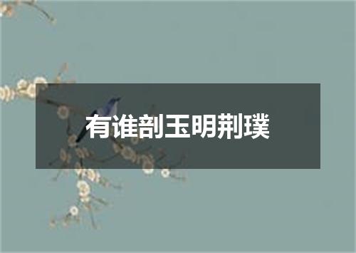 有谁剖玉明荆璞