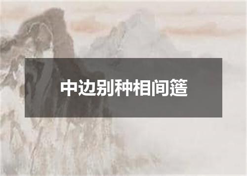 中边别种相间簉