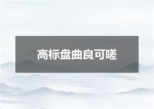 高标盘曲良可嗟