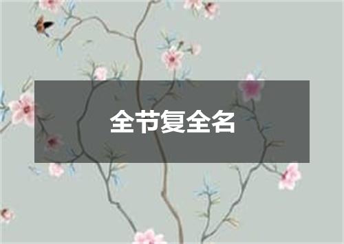 全节复全名
