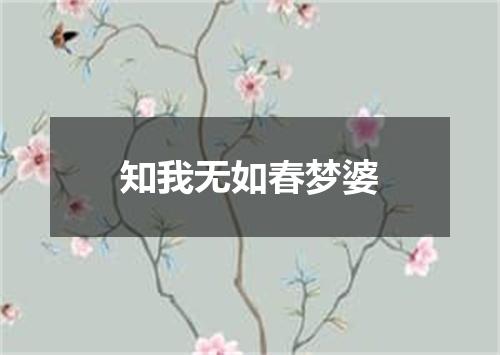知我无如春梦婆