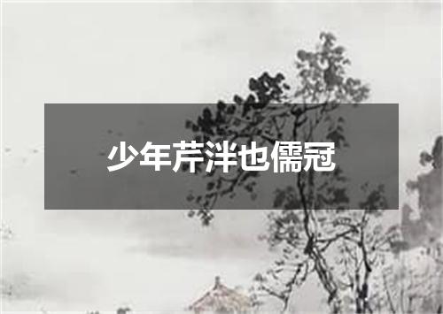少年芹泮也儒冠