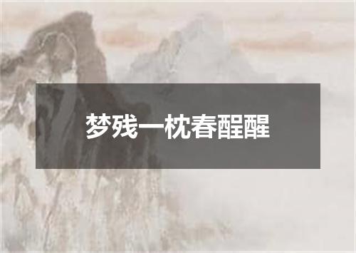 梦残一枕春酲醒