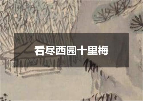 看尽西园十里梅