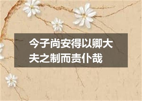 今子尚安得以卿大夫之制而责仆哉