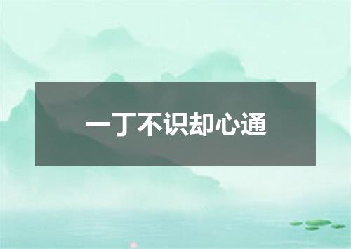 一丁不识却心通