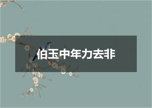 伯玉中年力去非