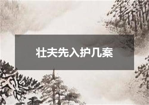 壮夫先入护几案