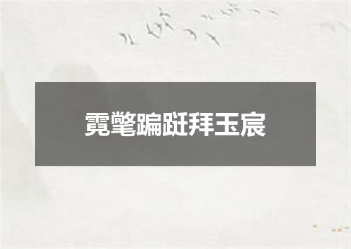 霓氅蹁跹拜玉宸