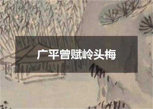 广平曾赋岭头梅