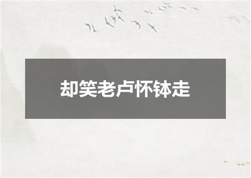却笑老卢怀钵走