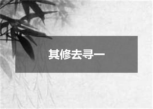 其修去寻一