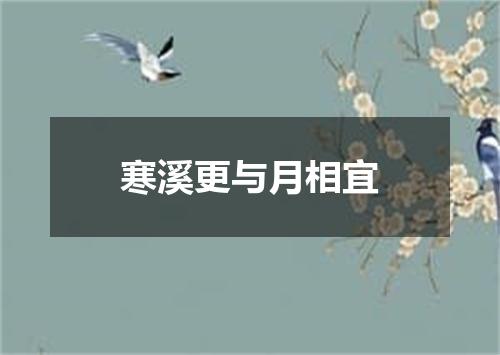寒溪更与月相宜