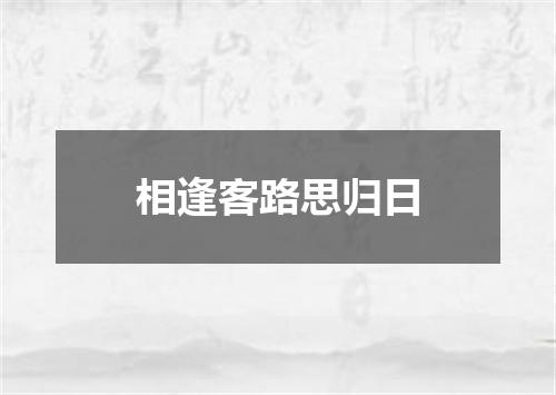 相逢客路思归日