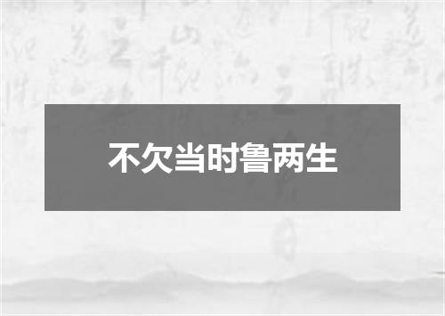 不欠当时鲁两生