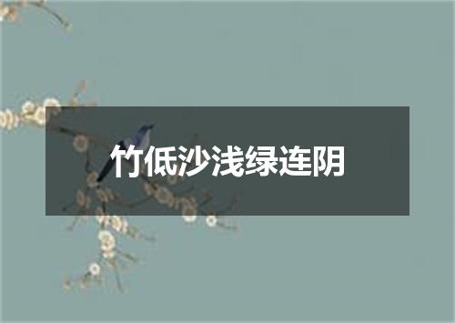 竹低沙浅绿连阴