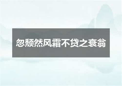 忽颓然风霜不贷之衰翁