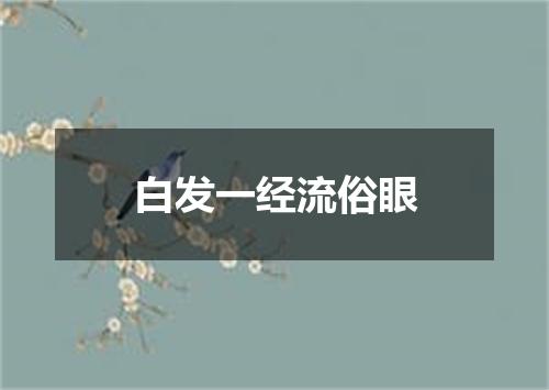白发一经流俗眼