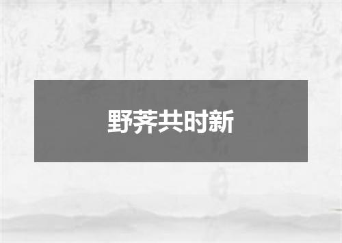 野荠共时新