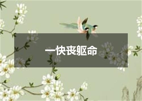 一快丧躯命