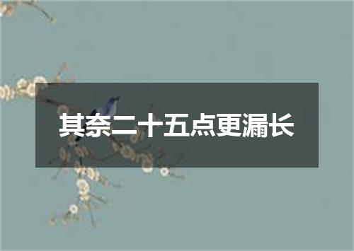 其奈二十五点更漏长