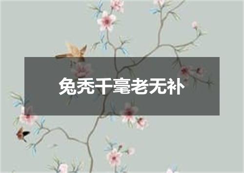 兔秃千毫老无补